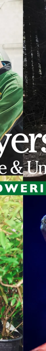 Untitled Design (34)